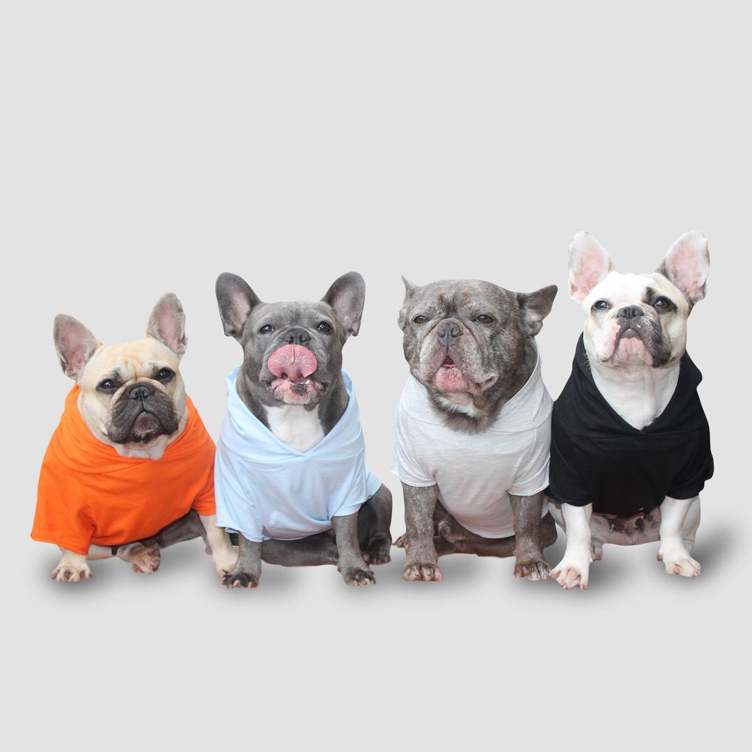 Wuufbox Dog T-shirt Black – WOOFBOX